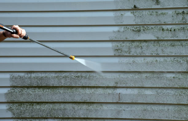 Best Pressure Washing Driveway  in Pass Christian, MS